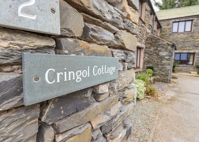 Cringol 安布尔塞德